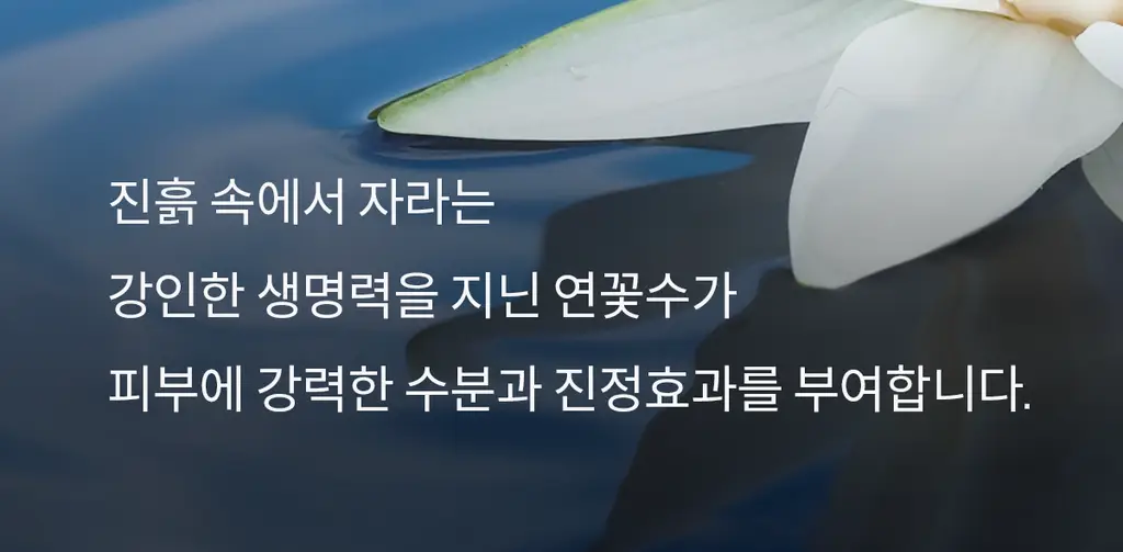 [하리무PICK] NDP 엔디피 초저분자 히알루로닉 10,000PPM 세럼 상세페이지 25